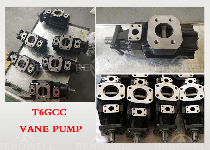 New Aftermarket Denison Vane Pump T6DCCM-B24-B06-B14-1L00-A101 
