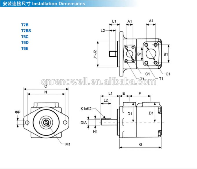 Denison T6C T6D T6E Rotary Vane Vacuum Pump for Marine Machine